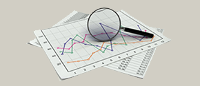 Image 01